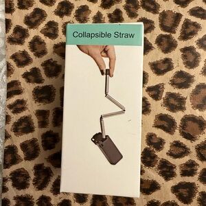 Collapsible Silver Straw (Green)